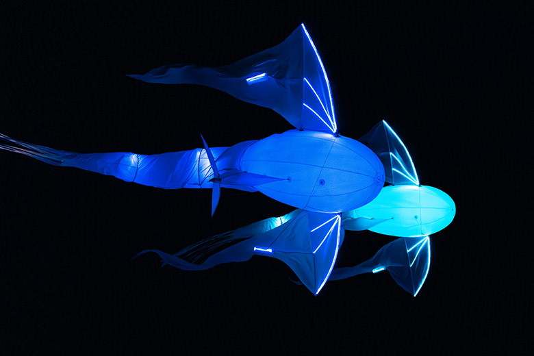 Le ballet des Luminéoles®