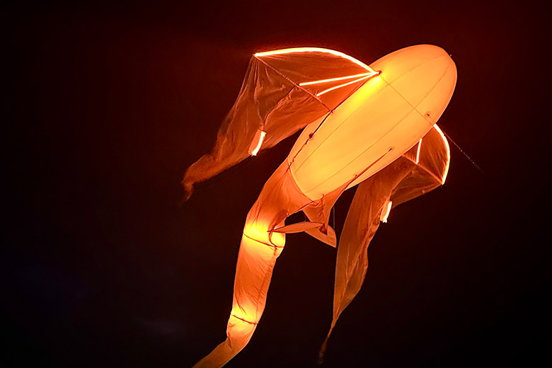 Le ballet des Luminéoles®